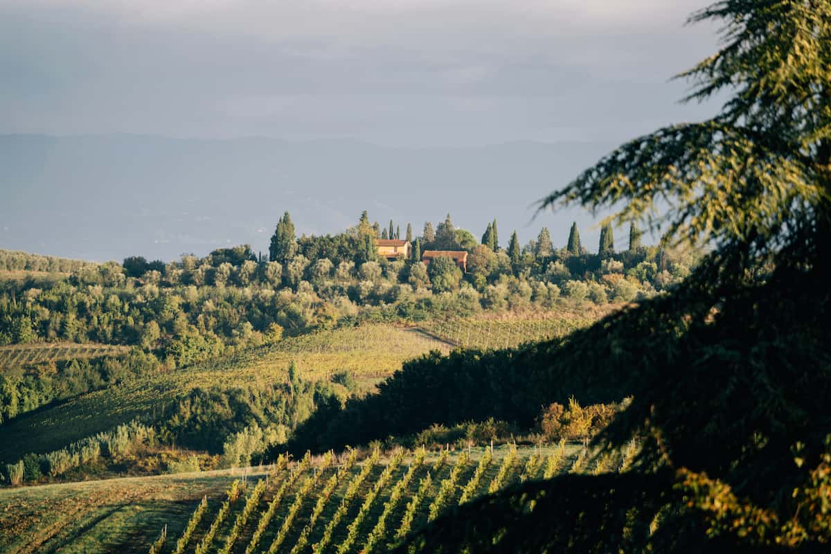 Capire il paesaggio per imparare a guardare